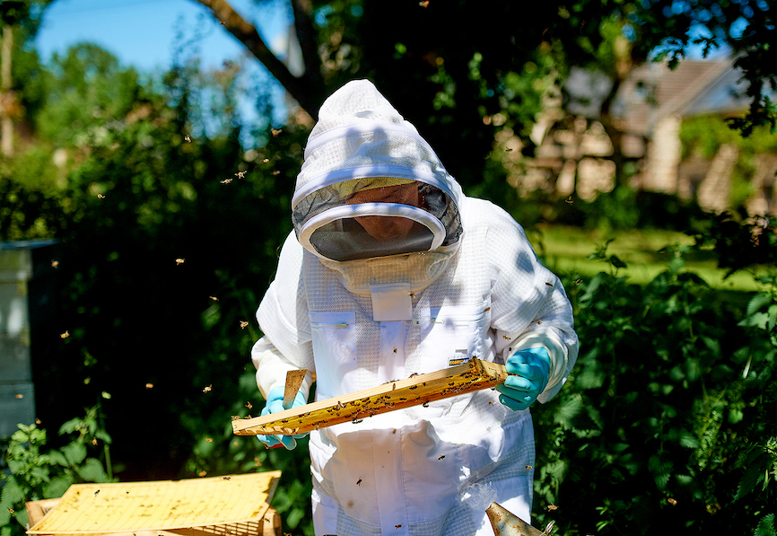 apiculture-5